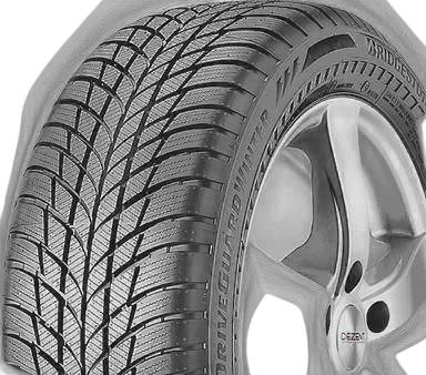 Bridgestone DriveGuard winter