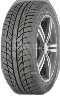 GT Radial Champiro WinterPro