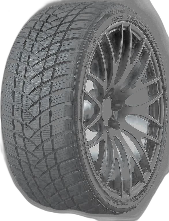 GT Radial WinterPro2 Sport