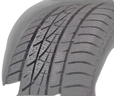 Hankook Winter i*cept evo W310