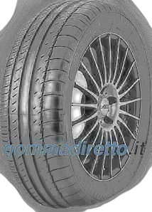 King Meiler Sport 1