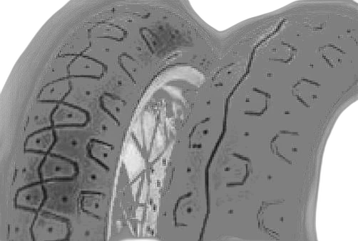 Pirelli Phantom Sportscomp