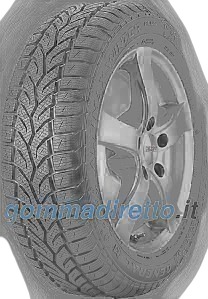 General Altimax Winter Plus