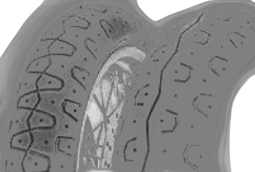Pirelli Phantom Sportscomp