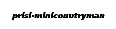 Přísl.MiniCountryman