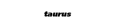 Taurus Touring 301