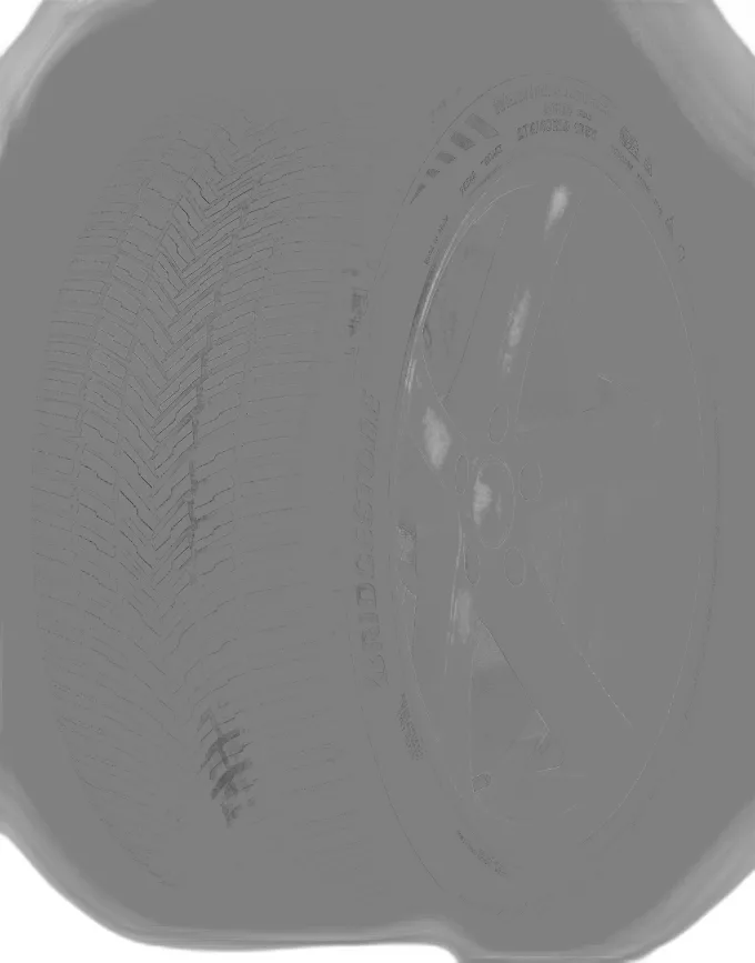 Bridgestone Weather Control A005 DriveGuard EVO