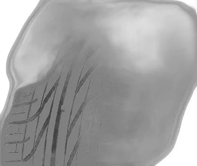 Pirelli P6000