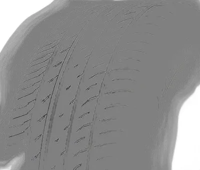 Toyo Proxes T1 Sport plus